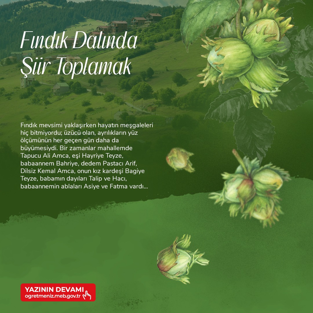 FINDIK DALINDA ŞİİR TOPLAMAK