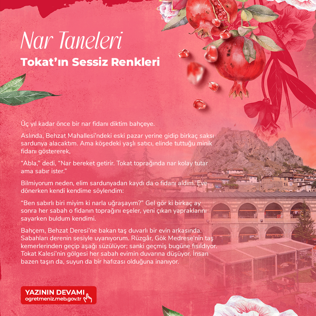 NAR TANELERİ-TOKAT'IN SESSİZ RENKLERİ 	