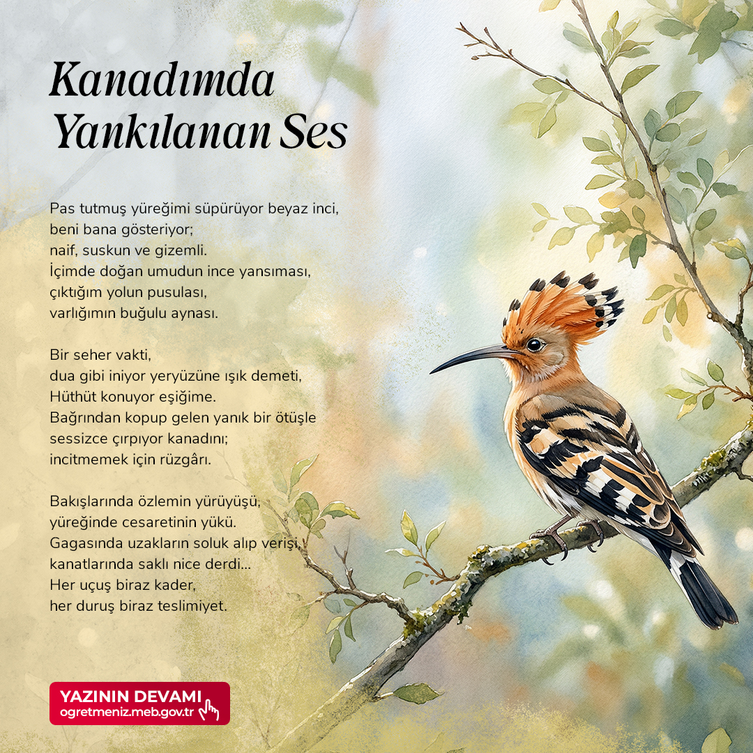 KANADIMDA YANKILANAN SES