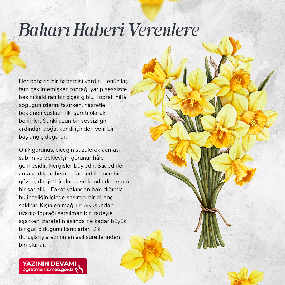 BAHARI HABER VERENLERE